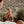 Load image into Gallery viewer, Divine Set - Calm The Mind