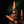 Load image into Gallery viewer, Divine Set - Calm The Mind