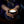 Load image into Gallery viewer, Coconut Shell Candles (Pack of 3)