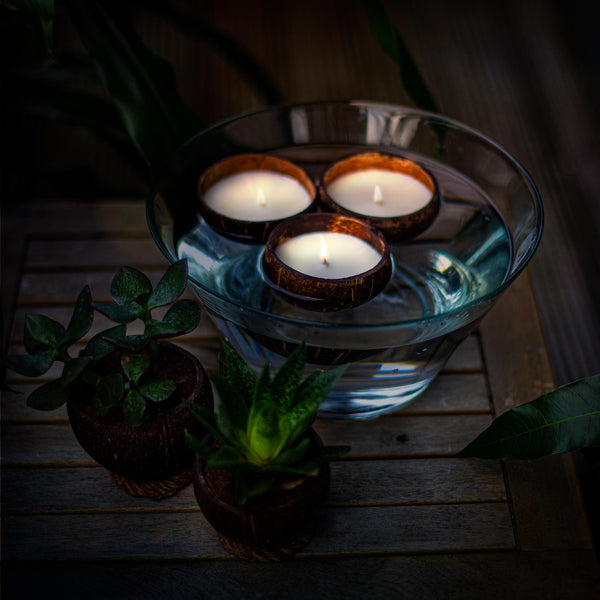 Coconut Shell Candles (Pack of 3)